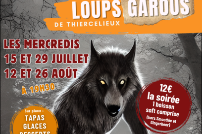 Agrandir l'image, fenêtre modale