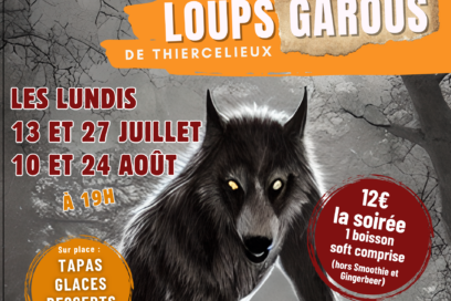 Agrandir l'image, fenêtre modale
