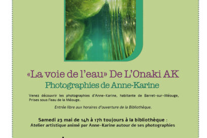 Agrandir l'image, fenêtre modale
