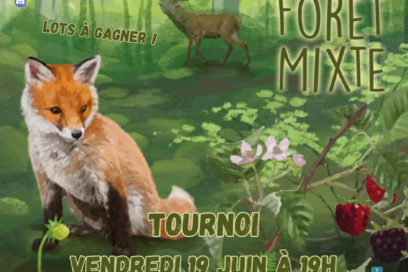 Agrandir l'image, fenêtre modale