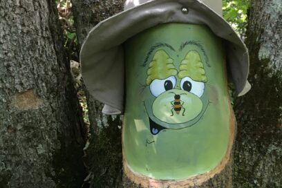 Agrandir l'image, fenêtre modale