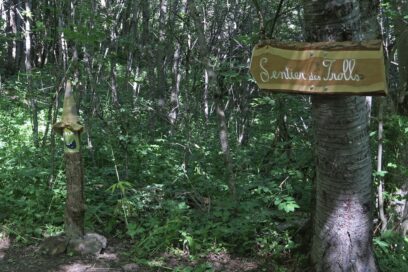 Agrandir l'image, fenêtre modale