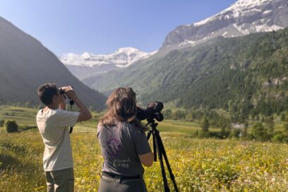 Agrandir l'image, fenêtre modale