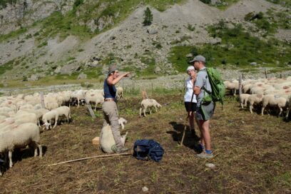 Agrandir l'image, fenêtre modale