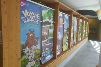 Agrandir l'image, fenêtre modale