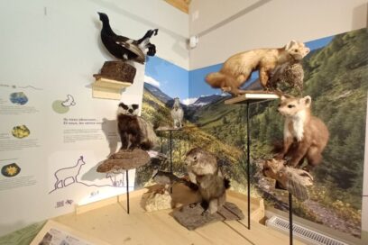 Agrandir l'image, fenêtre modale
