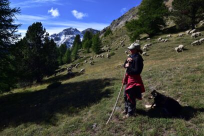 Agrandir l'image, fenêtre modale