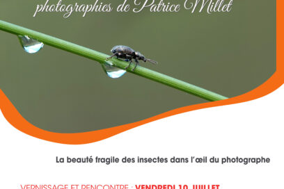 Agrandir l'image, fenêtre modale