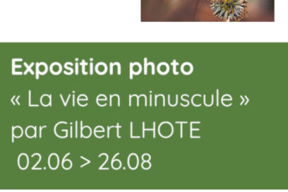 Agrandir l'image, fenêtre modale