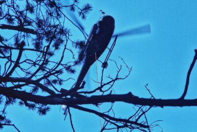 Un hélicoptère dans le ciel - Agrandir l'image 13 sur 27, fenêtre modale