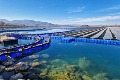 Sur une étendue d'eau turquoise qui occupe les 2/3 de la photo, des panneaux photovoltaïques flottants à perte de vue. En ligne d'horizon, des montagne. Le ciel est bleu légèrement nuageux. - Agrandir l'image 2 sur 4, fenêtre modale