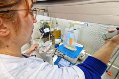 Agrandir l'image 6 sur 6, fenêtre modale