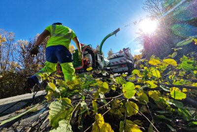 La photo est prise en contre plonger. Au premier plan un amas de braches feuillues reposant sur le sol. Juste derrière un homme de dos en habit de travail jaune fluo et bleu électrique. Il porte des gant de travail en cuir épais. Au troisième plan de la photo un broyeur de branches vert rejette des copeaux de bois. Ce broyeur est tracté par une camionnette de chantier blanche. La scène sa passe sur le bord d'une route. Des nombreux arbres et arbustes de feuillus trônent sur les bas côtés. Un rayon de soleil traverse la photo. - Agrandir l'image 6 sur 7, fenêtre modale