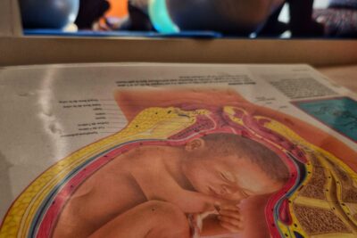 Au premier plan un planche anatomique montrant un fœtus dans le ventre de sa mère. Au arrière plan des femme enceintes font des exercices de relaxation à l'aide d'imposant ballon. - Agrandir l'image 2 sur 3, fenêtre modale