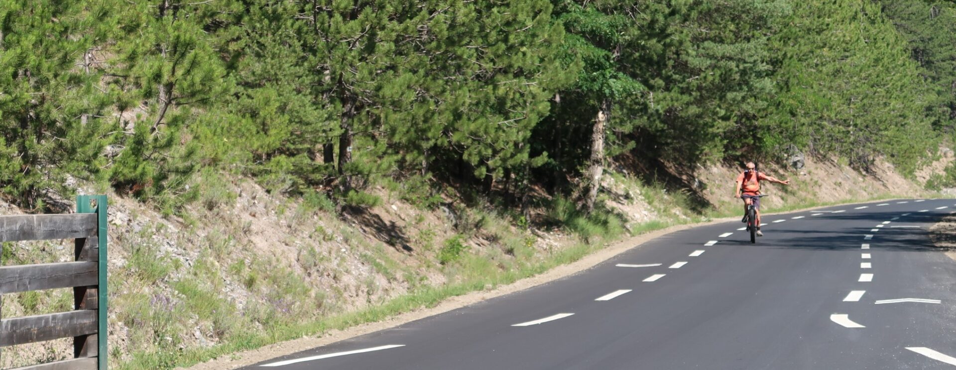 Une route et un cycliste au lin. Au bord de la route, une forêt de conifères. On devine que la photo a été prise en montagne