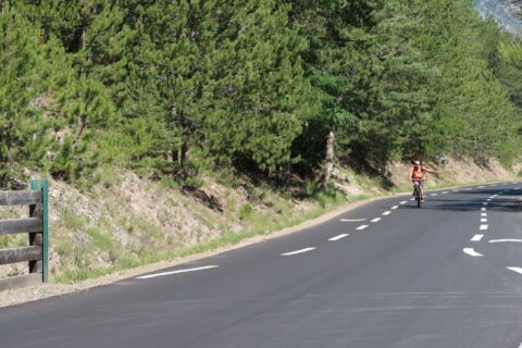 Une route et un cycliste au lin. Au bord de la route, une forêt de conifères. On devine que la photo a été prise en montagne