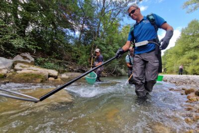 Une homme portant un teeshirt bleu et des cuissades de pêche évolue dans une rivière équipé d'une anode électrique. Derrière lui, d'autres hommes eux aussi équipé de cuissarde récupère des poisson à l'aide d'épuisettes. - Agrandir l'image 2 sur 6, fenêtre modale