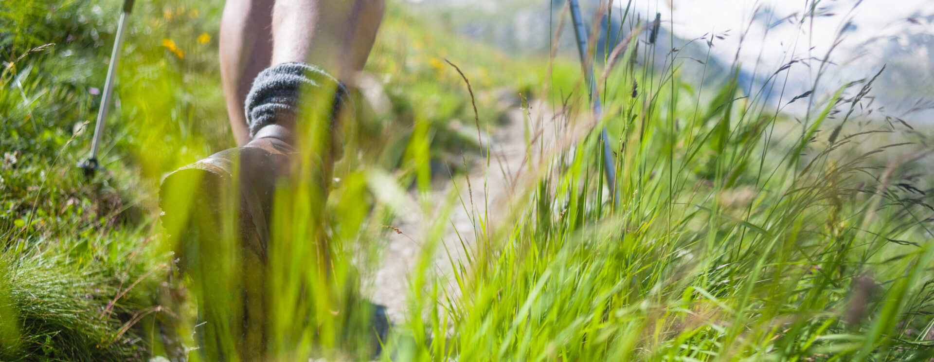 Gros plan sur des chaussures de randonnées sur un sentier avec au long les montagnes