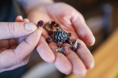 Agrandir l'image, fenêtre modale