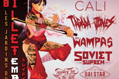 Agrandir l'image, fenêtre modale