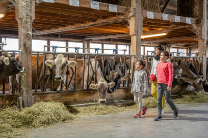 Agrandir l'image, fenêtre modale