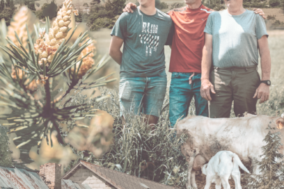 Agrandir l'image, fenêtre modale