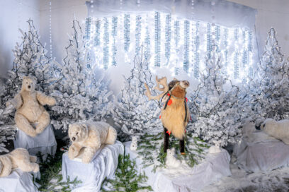 Agrandir l'image, fenêtre modale