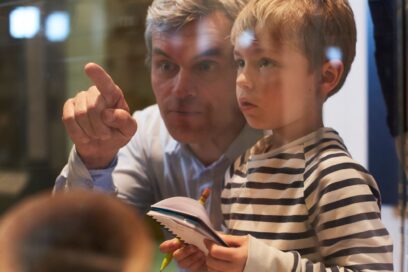 Agrandir l'image, fenêtre modale