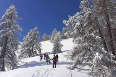 Agrandir l'image, fenêtre modale