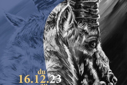 Agrandir l'image, fenêtre modale