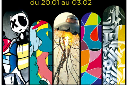 Agrandir l'image, fenêtre modale