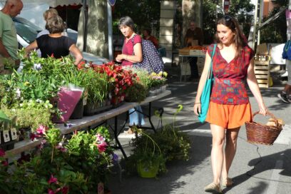 Agrandir l'image, fenêtre modale