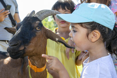 Agrandir l'image, fenêtre modale