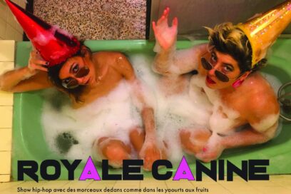 Agrandir l'image, fenêtre modale