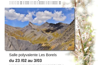 Agrandir l'image, fenêtre modale