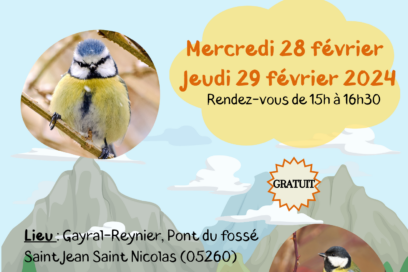 Agrandir l'image, fenêtre modale