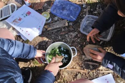 Agrandir l'image, fenêtre modale