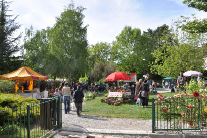 Agrandir l'image, fenêtre modale