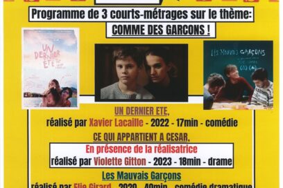 Agrandir l'image, fenêtre modale