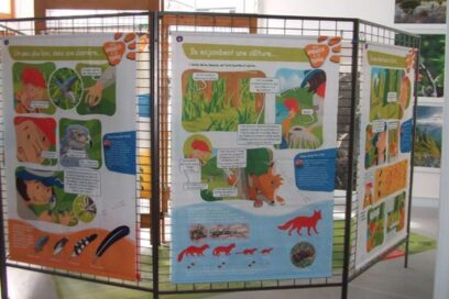 Agrandir l'image, fenêtre modale