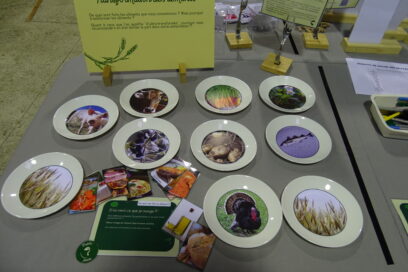 Agrandir l'image, fenêtre modale