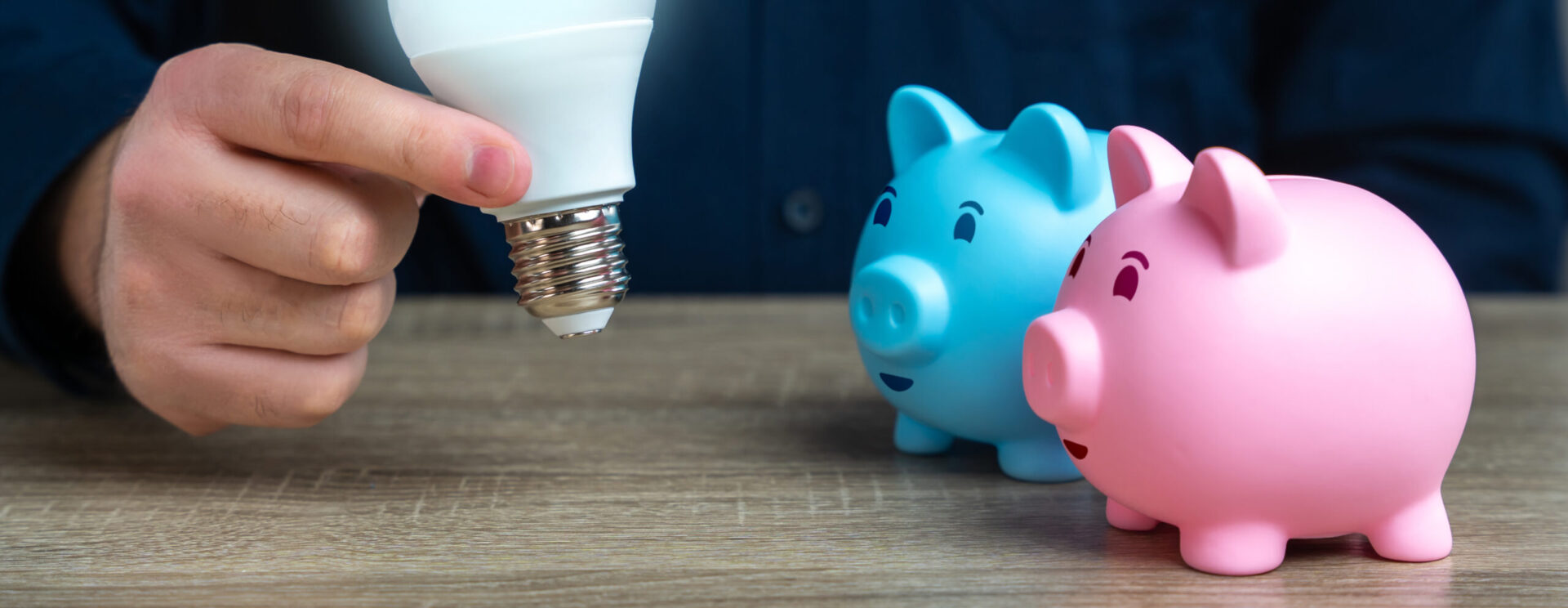 Deux tirelires en forme de cochons souriants regardent une ampoule à économie d'énergie