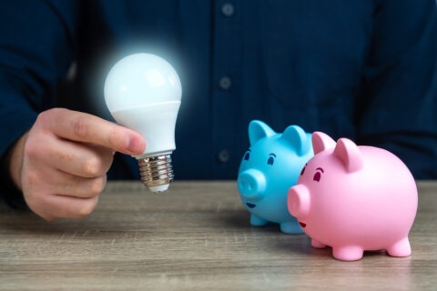 Deux tirelires en forme de cochons souriants regardent une ampoule à économie d'énergie