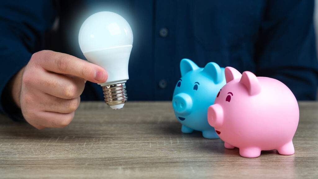 Deux tirelires en forme de cochons souriants regardent une ampoule à économie d'énergie - Agrandir l'image, fenêtre modale