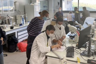 Agrandir l'image, fenêtre modale