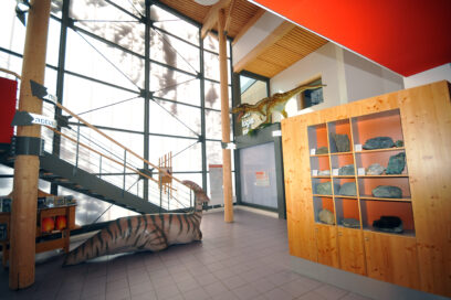 Agrandir l'image, fenêtre modale