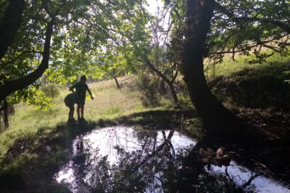 Agrandir l'image, fenêtre modale