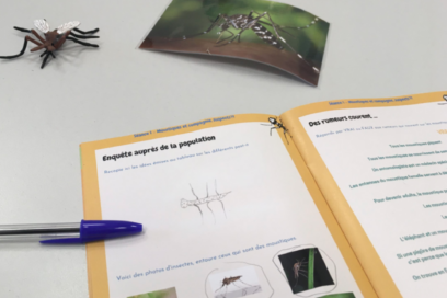 Agrandir l'image, fenêtre modale