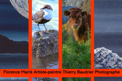 Agrandir l'image, fenêtre modale