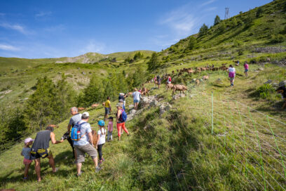 Agrandir l'image, fenêtre modale